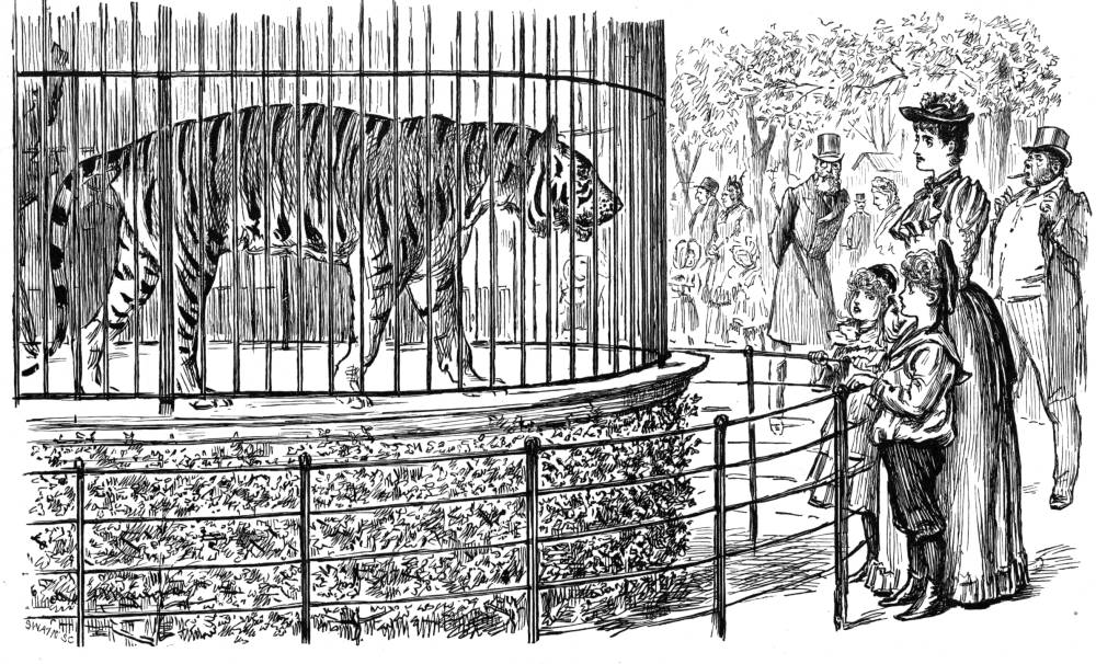 Victorian Zoo