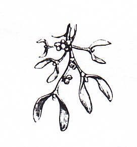 Ornamental head-piece: Mistletoe