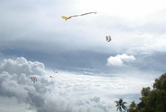 Kites on the coast of Bali, 1999