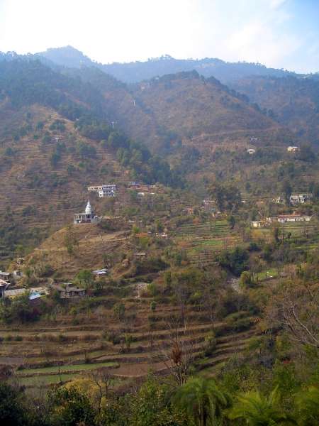 Scenery en route to Shimla, with agricultural terraces and a temple