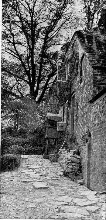 Stone-Paved Cottage Entrance