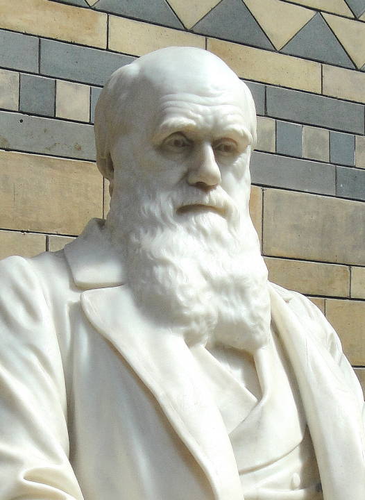 Darwin