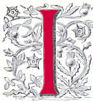 Decorated initial M