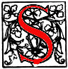 Illuminated S