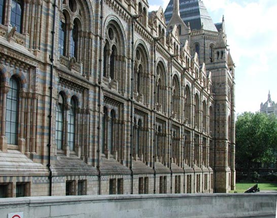 La Musée d'histoire naturelle