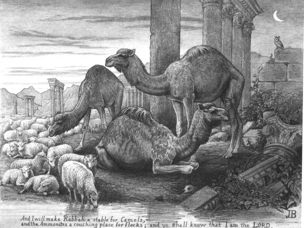 Rabbah a Stable from Camels