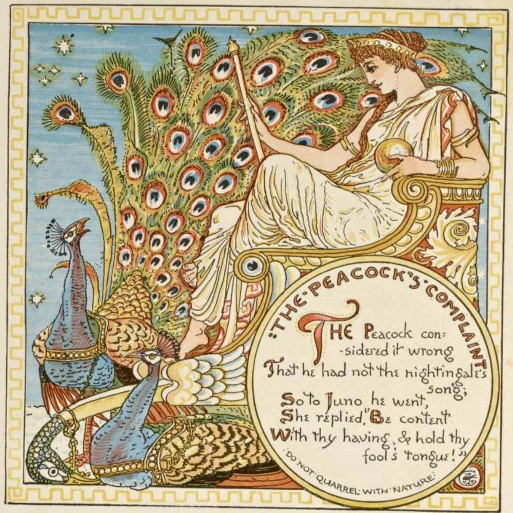 he Peacock’s Complaint