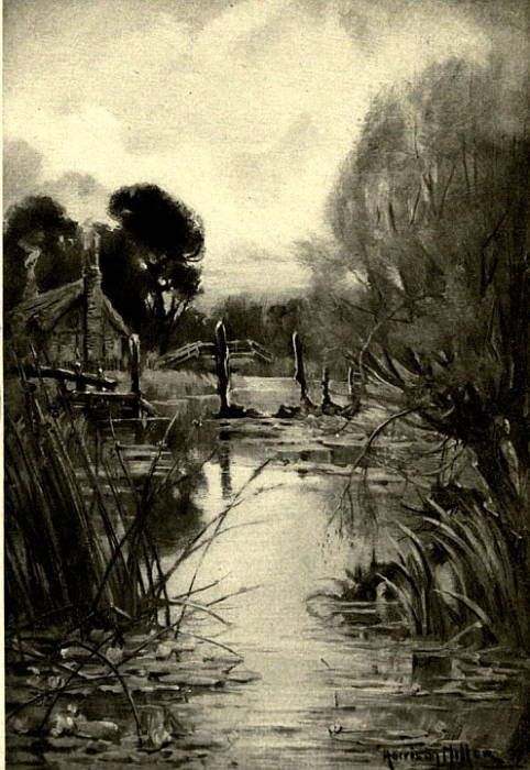 The Old Weir