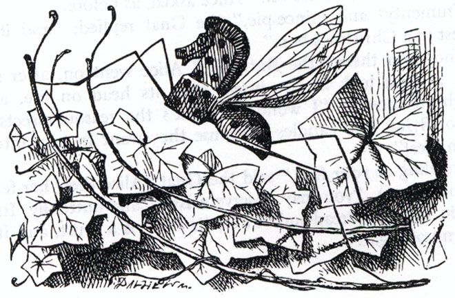 The Rocking-horse-fly