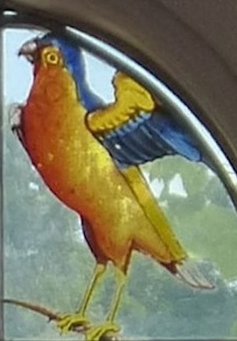 parrot