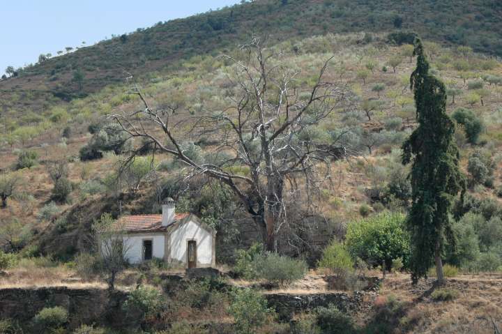 Abandoned Railway Station along the Douro River, Portugal