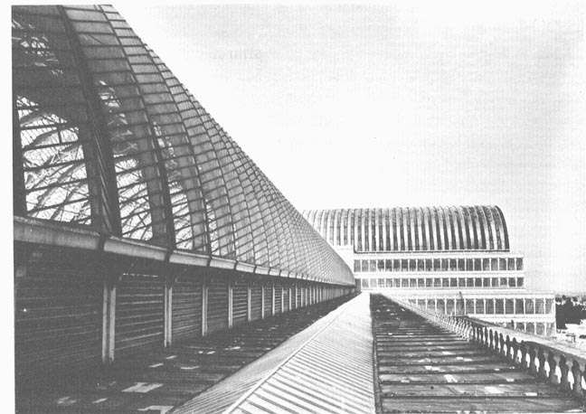 External view of the Roof and Vaulting of the Crystal Palace after the move to Sydenham