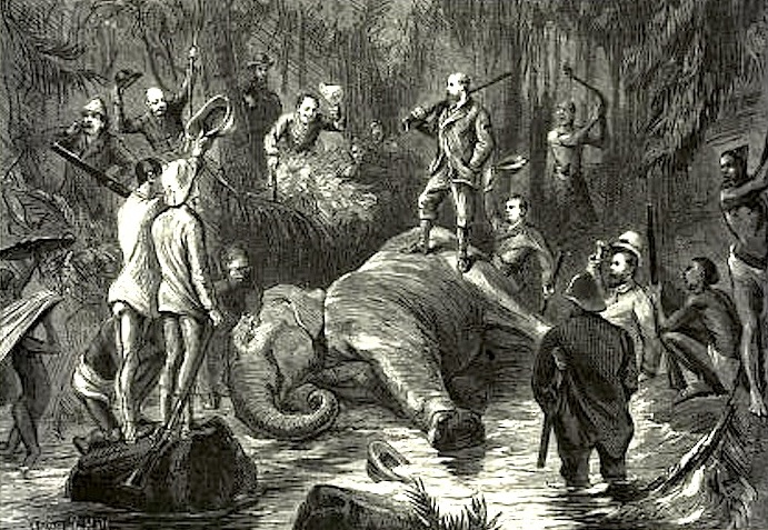 Ceylon — The Dead Elephant