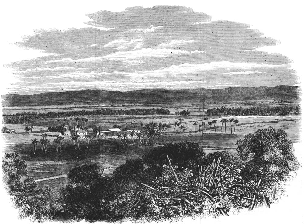 The Hordley Estate, Morant Bay, Jamaica