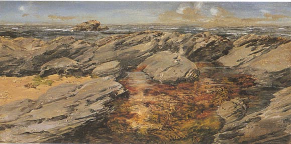 Rocks on the Foreshore