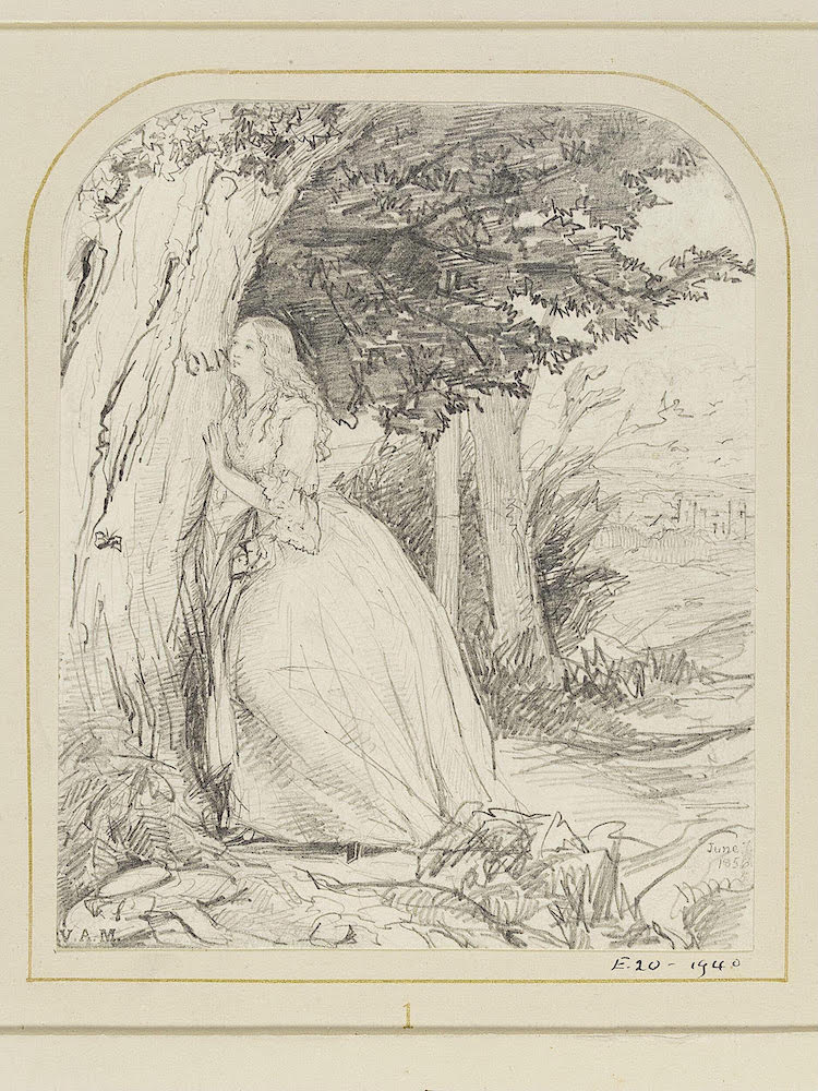 Study for The Talking Oak