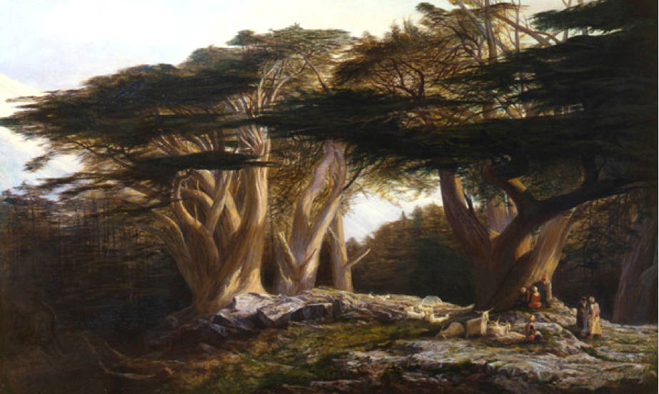 'The Cedars of Lebanon' by Edward Lear