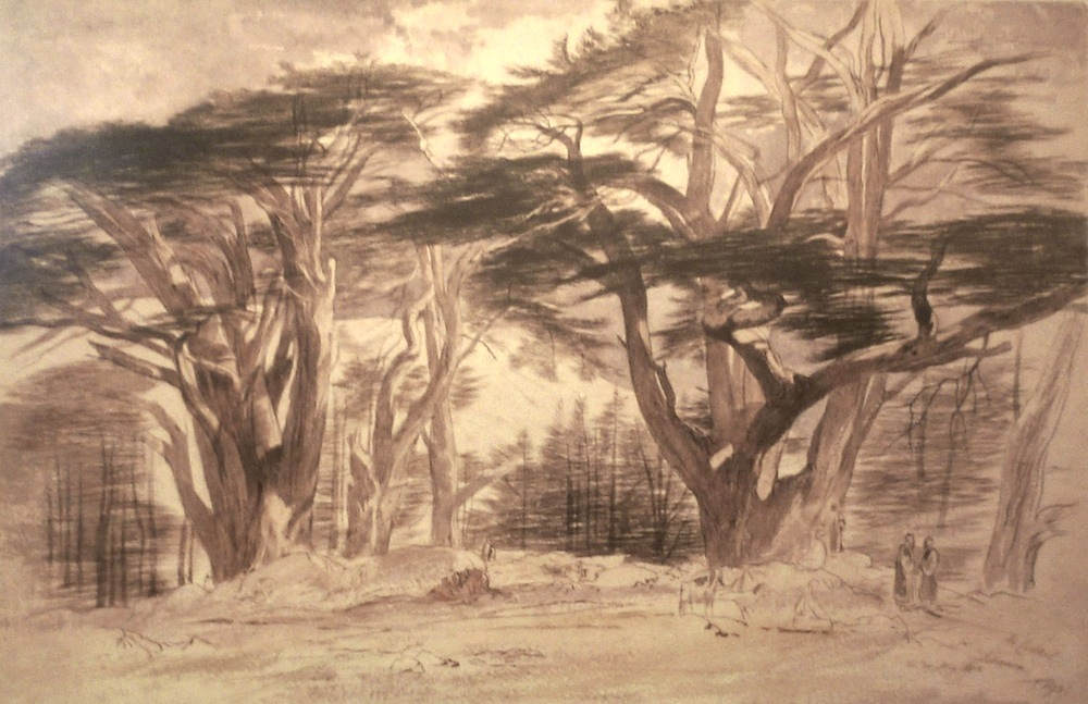 'The Cedars of Lebanon' by Edward Lear