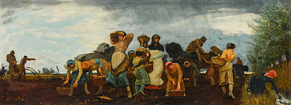 Potato Harvest in the Fens