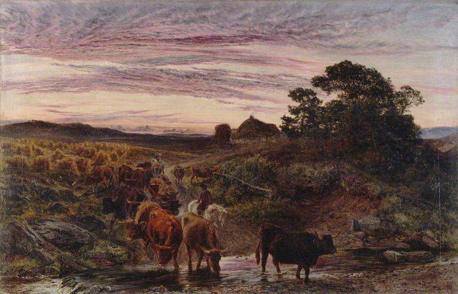 Cattle Fording a Stream