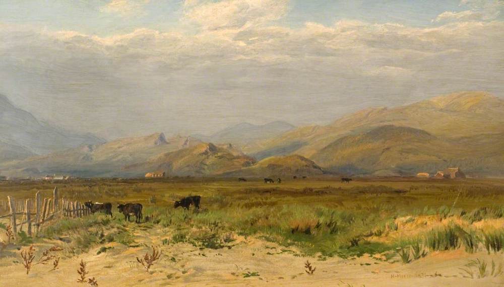 Cattle Fording a Stream