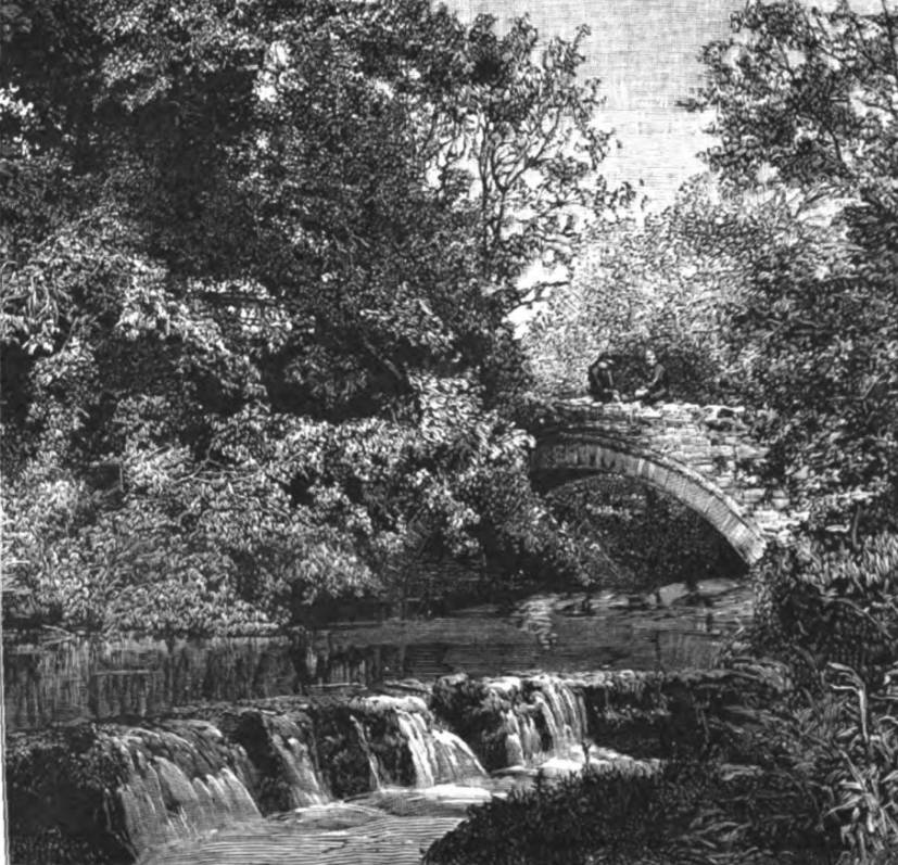 Bridge Across the Stream