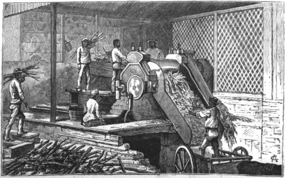 Sugar-Cane Crushing Machine