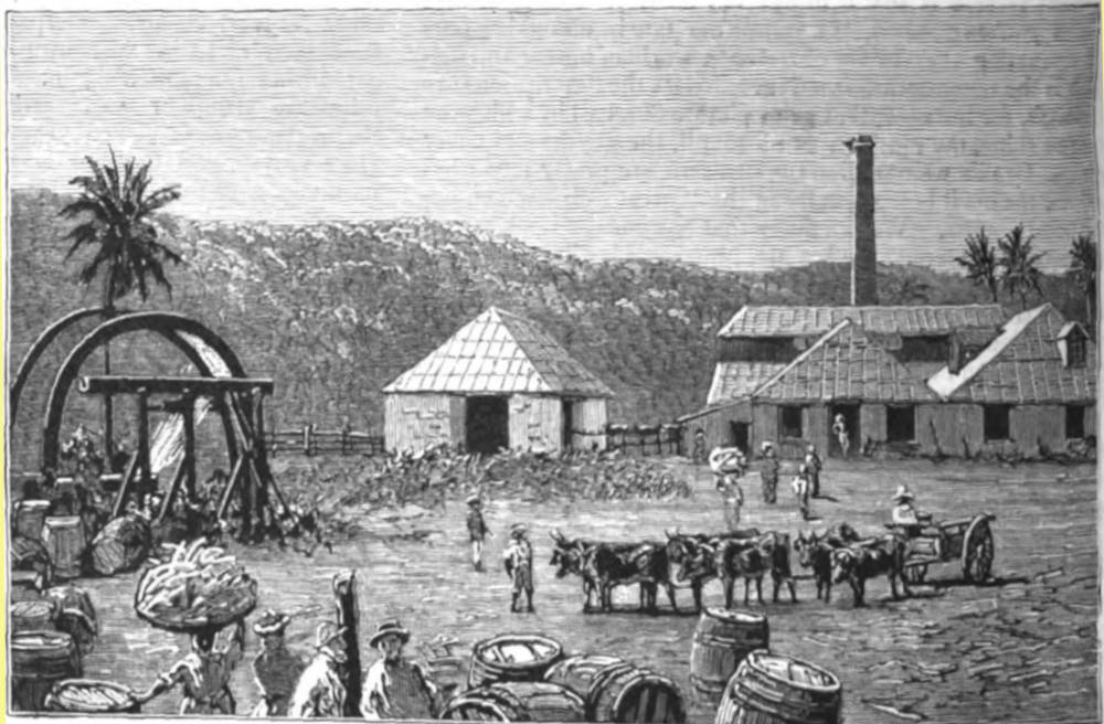 Sugar Mills. St. Thomas