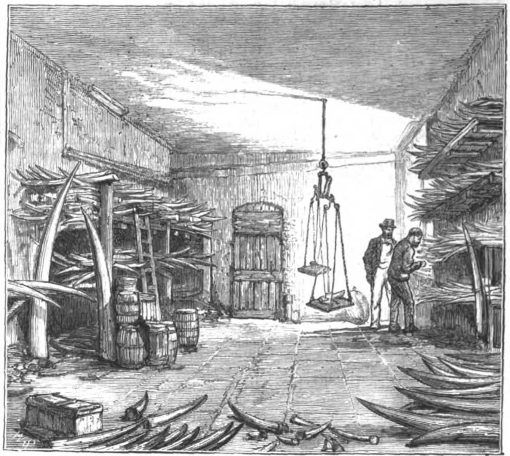 The Ivory Room at the Works of Mrssrs. Rogers and Sons