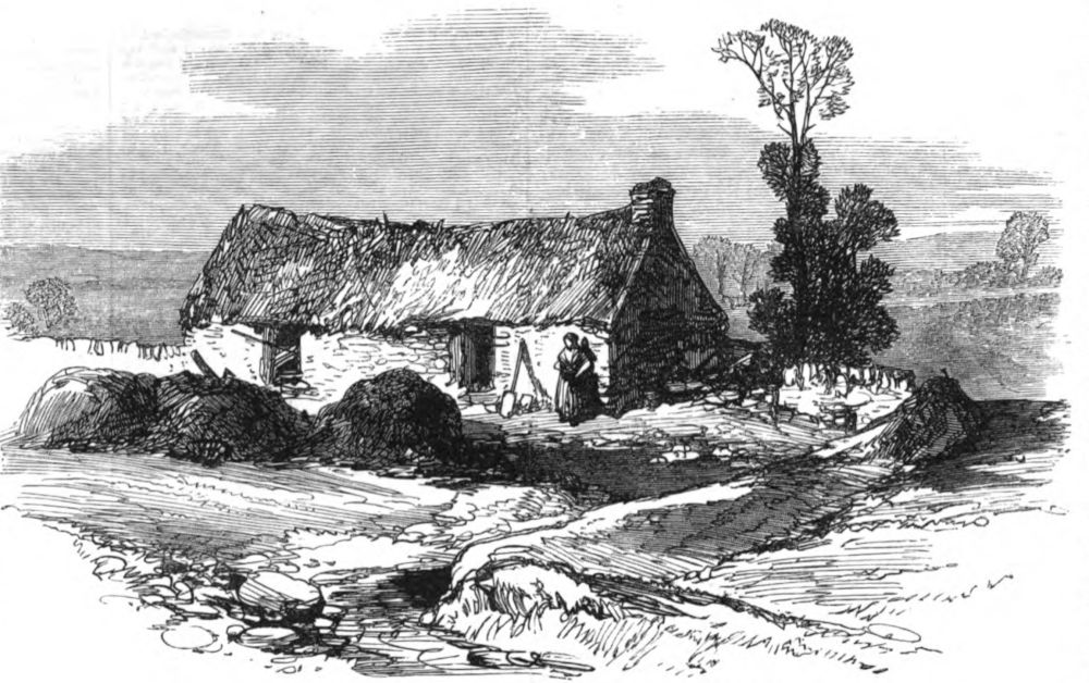 Mike Brannan’s Cabin in the Hundred Acres Bog