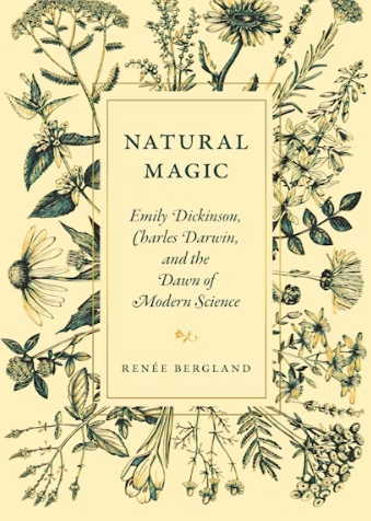 Natural Magic bookcover