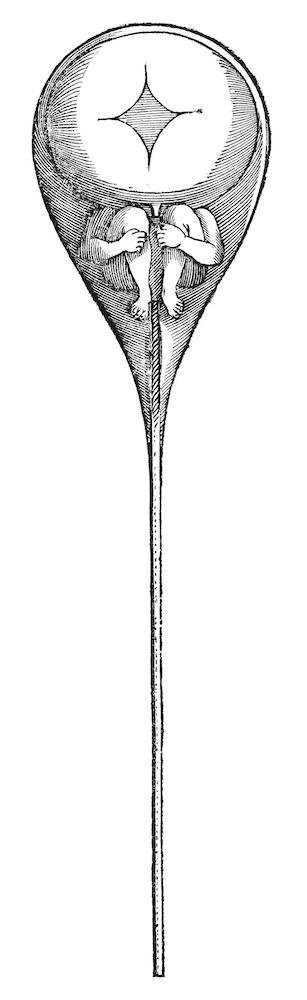 homonculus from Hartsoeker's 'Essay de dioptrique'