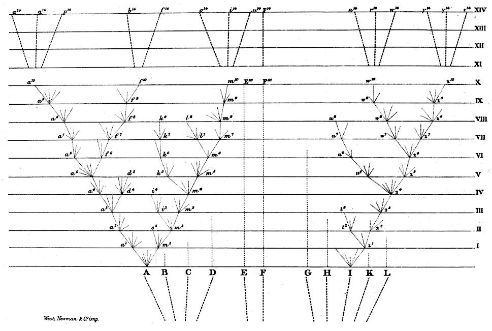 multi-level 'tree' demonstrating descent with modification