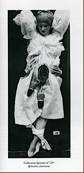 Anatomical Venus in forty parts