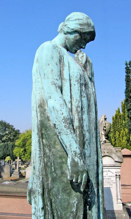 Harry Dwight Ripley Monument
1864-1913
