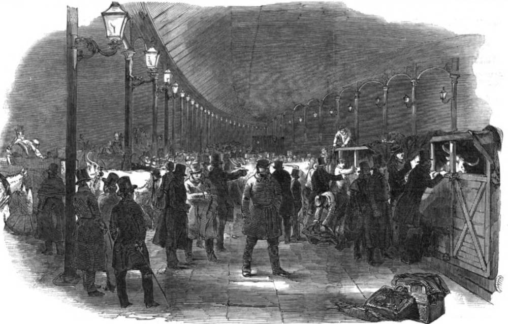 Arrival of Cattle at the Railway Terminus, Euston-Square, London