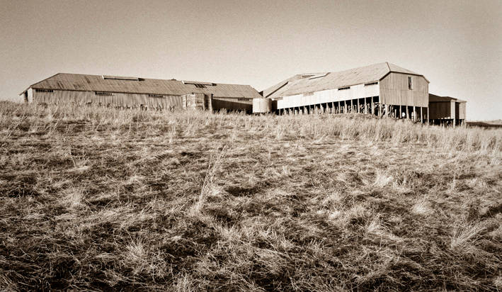 Woolshed at Old Errowanbang