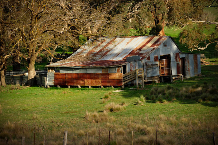 Woolshed, Buckburraga Creek