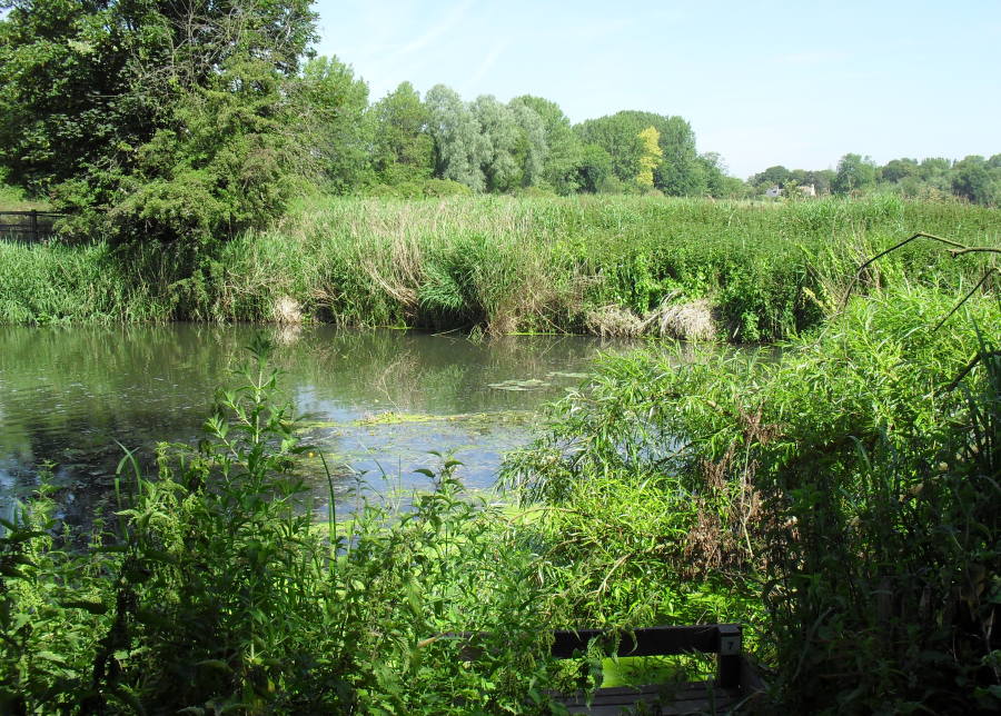 Landscape scene near the University of Cambridge