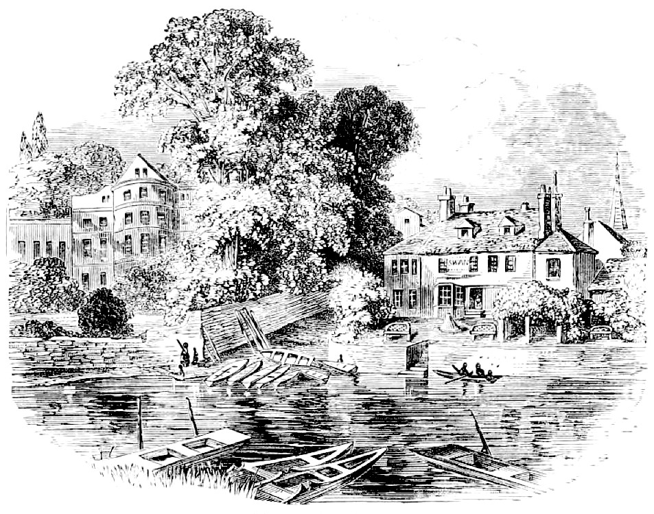 The Swan from the Thames