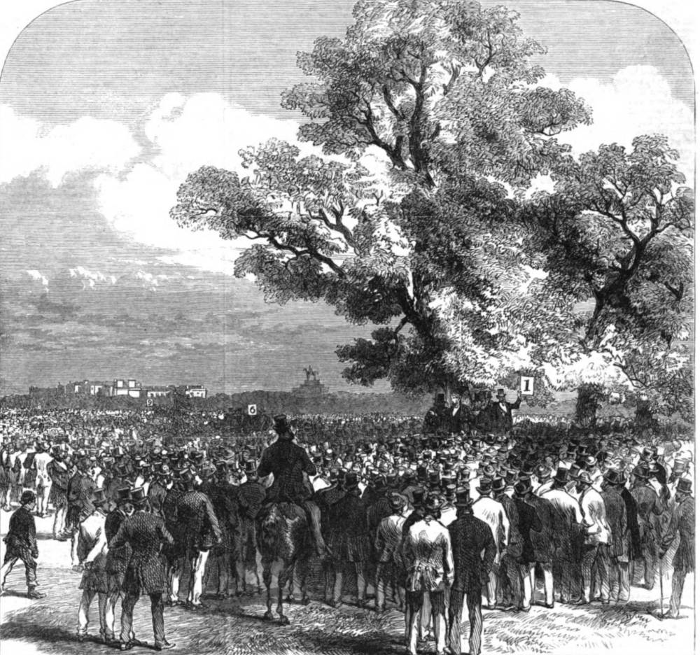 The Reform Meeting in Hyde Park