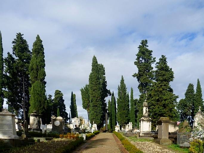 The main path of the cemetery