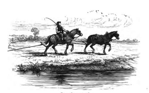 Barge-Horses Towing