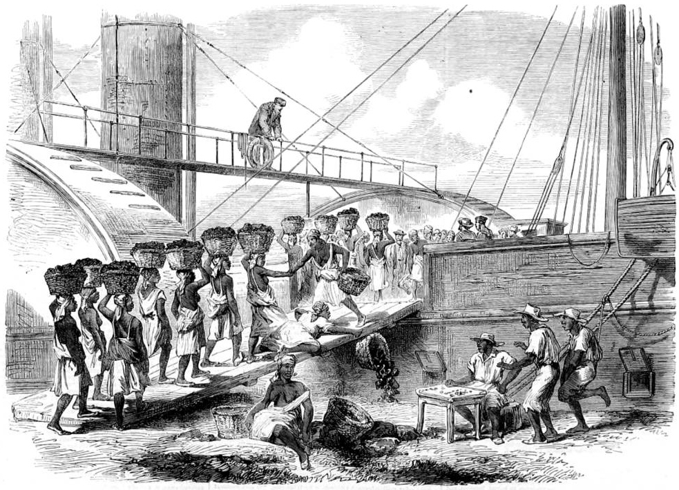 >Coaling a Royal Mail steam-packet at Kingston, Jamaica