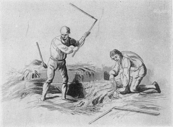 Threshing