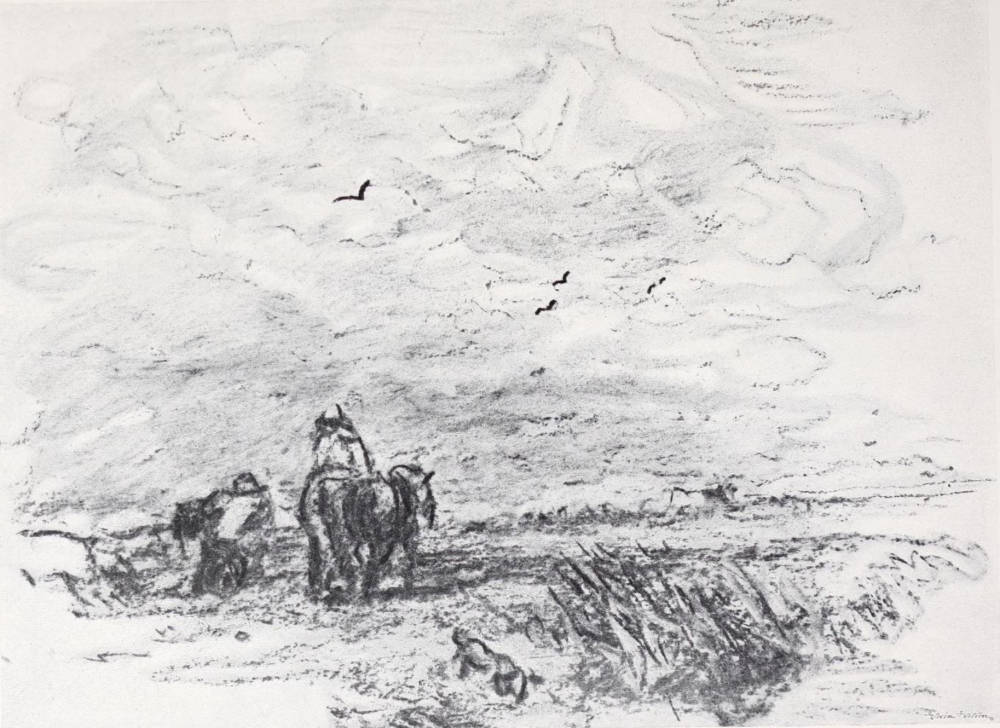The Salt Marsh