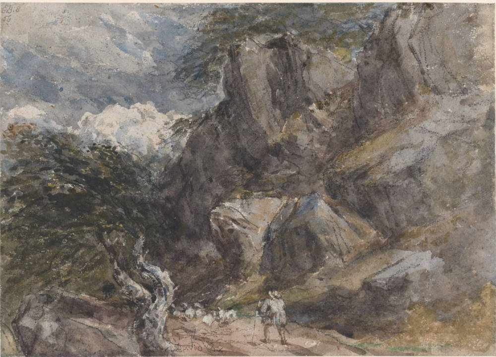 Driving Sheep in a Rocky Landscape