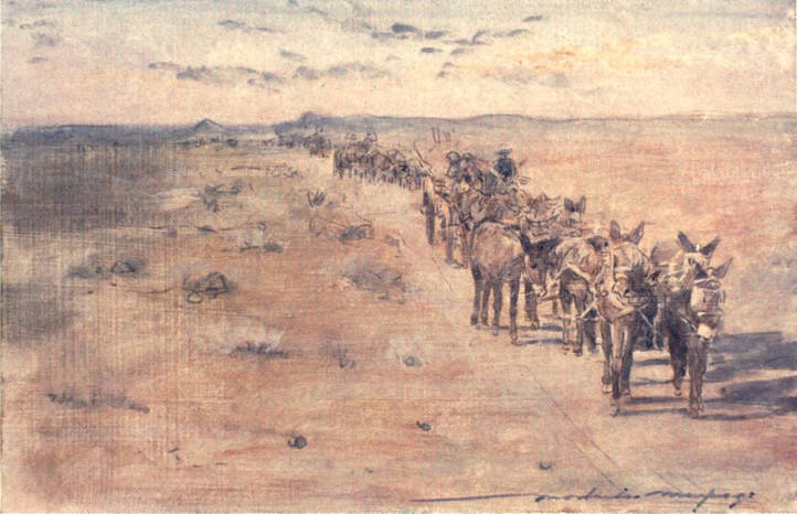 Mule Wagons