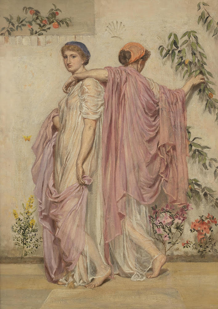 Apricots