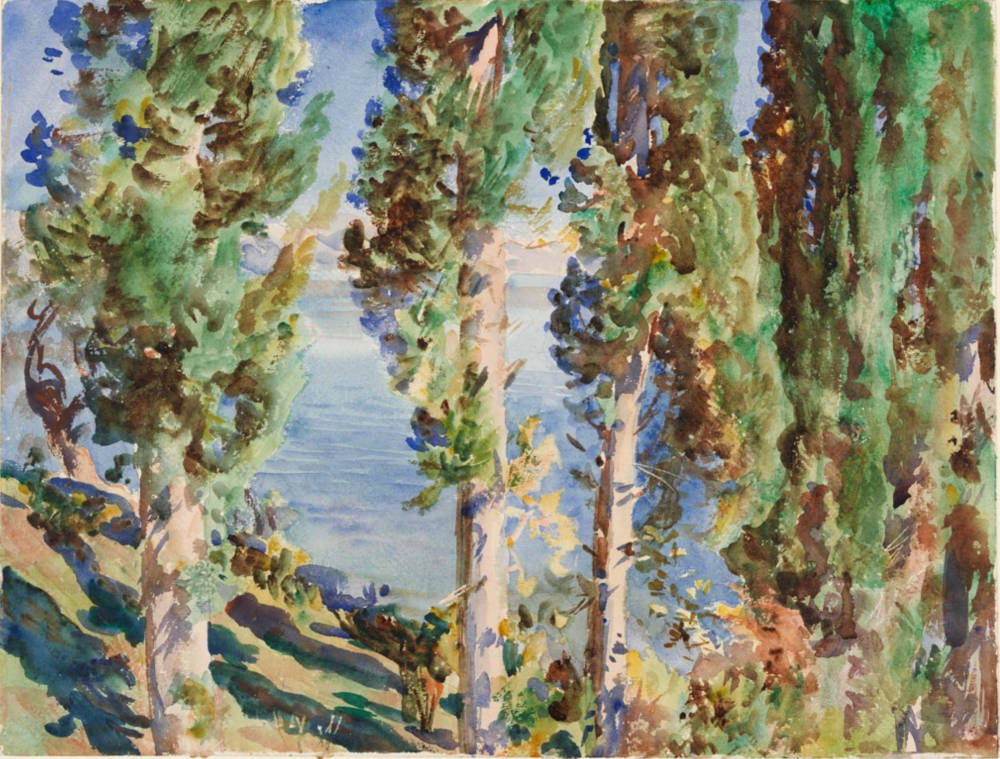 Corfu: Cypresses